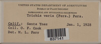 Image Associated With the Occurence